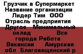 Грузчик в Супермаркет › Название организации ­ Лидер Тим, ООО › Отрасль предприятия ­ Другое › Минимальный оклад ­ 19 000 - Все города Работа » Вакансии   . Амурская обл.,Благовещенский р-н